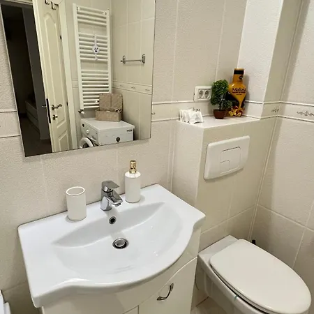 公寓 Ale's Place 11 康斯坦察